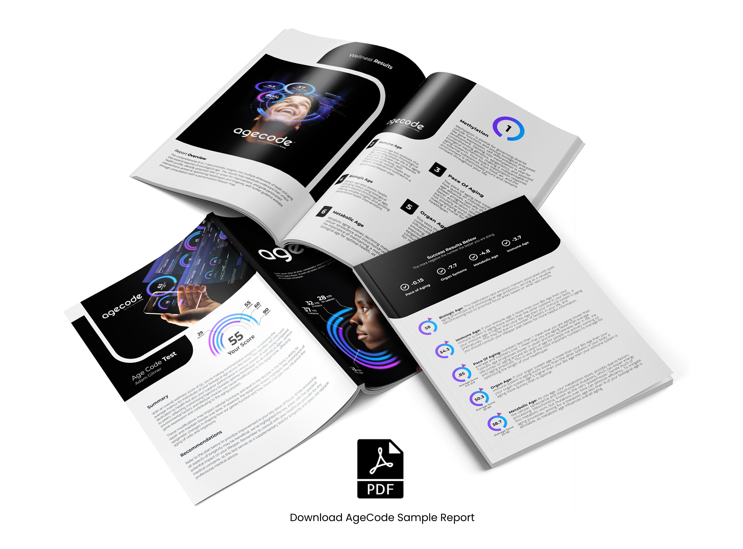 Reports Pages