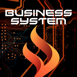 Driven Business System