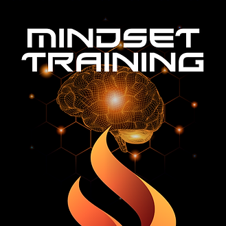 Driven Mindset Training